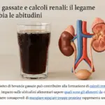 Bevande gassate e calcoli renali: il legame che cambia le abitudini